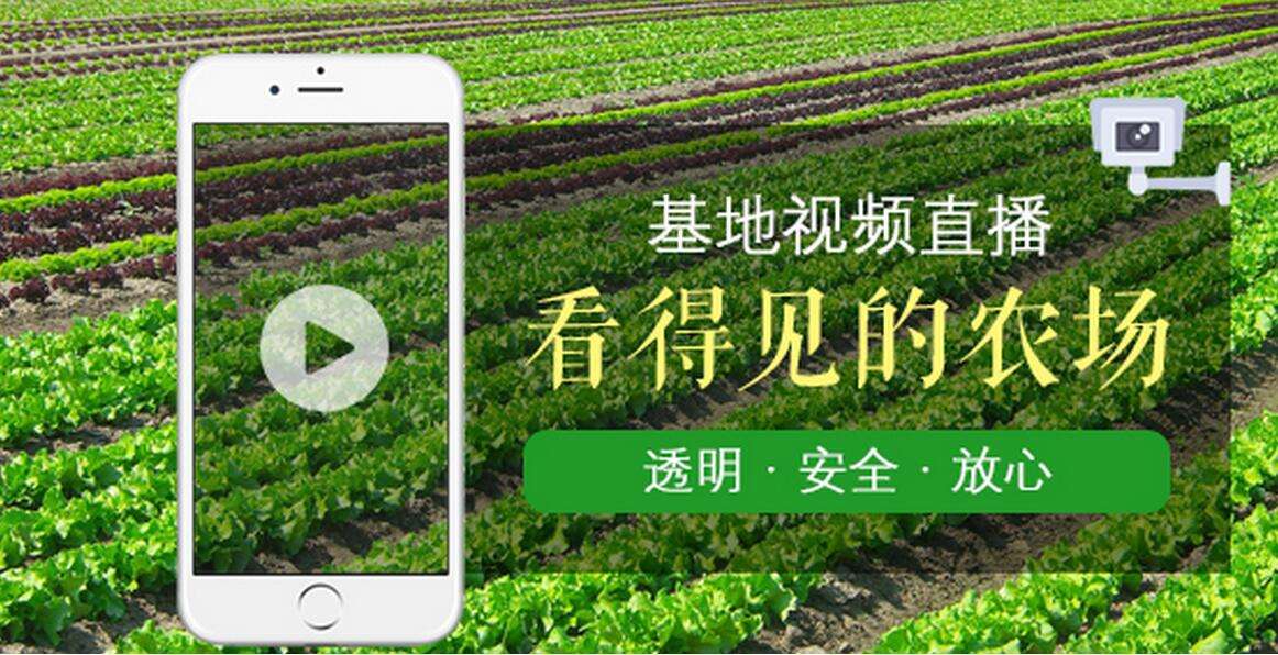 绿色体育a直播吧，绿色体育直播360直播