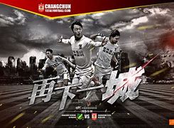 关于天津泰达vs杭州绿城的信息