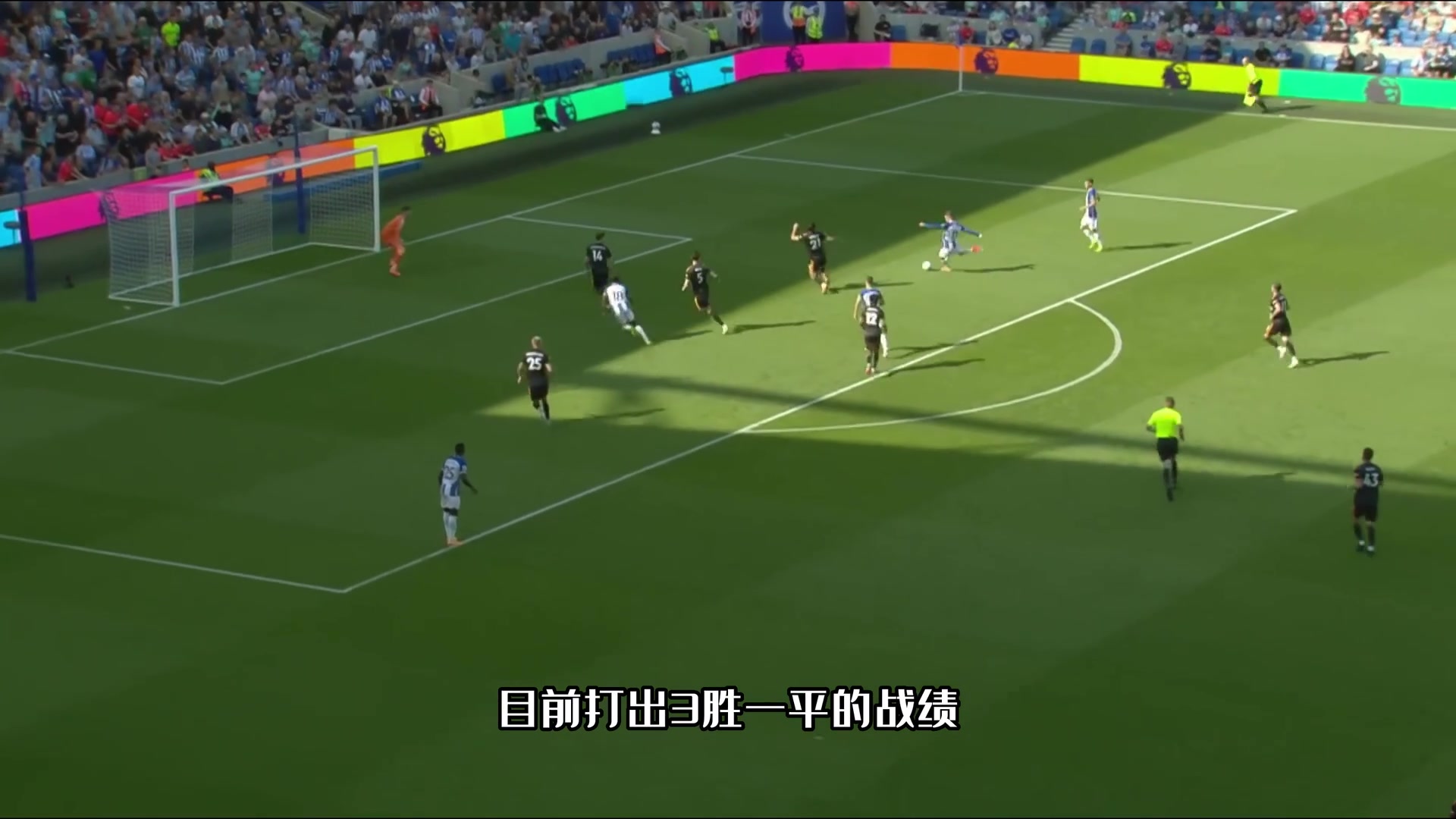 堪称爽文！网友@闲画足球 盘点布莱顿主帅波特教练生涯故事