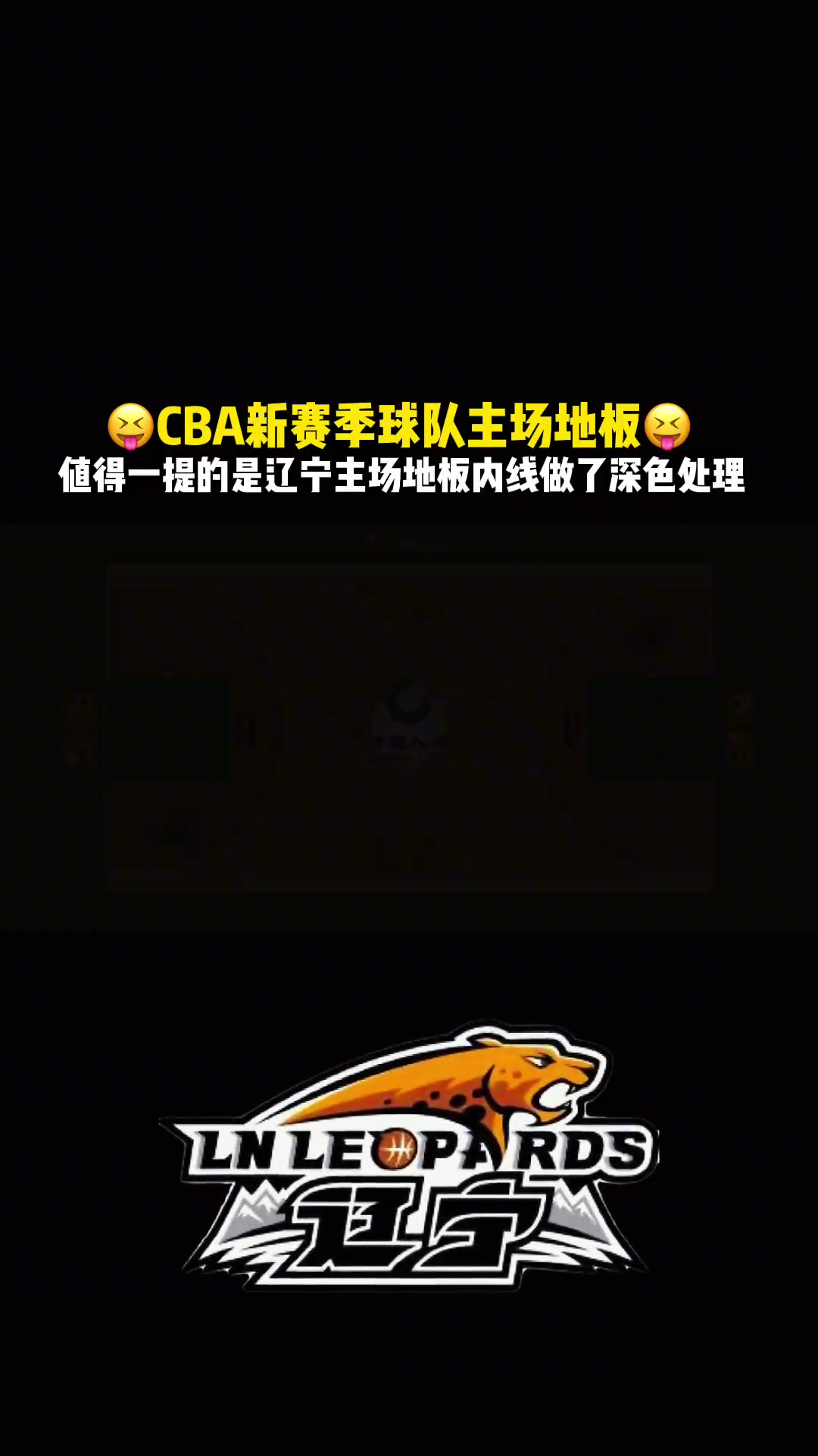 CBA新赛季球队主场地板一览！辽宁主场地板内线做了深色处理！