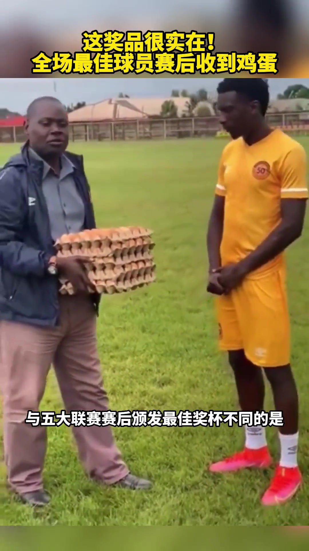 实在！赞比亚联赛全场最佳收到了5板大鸡蛋