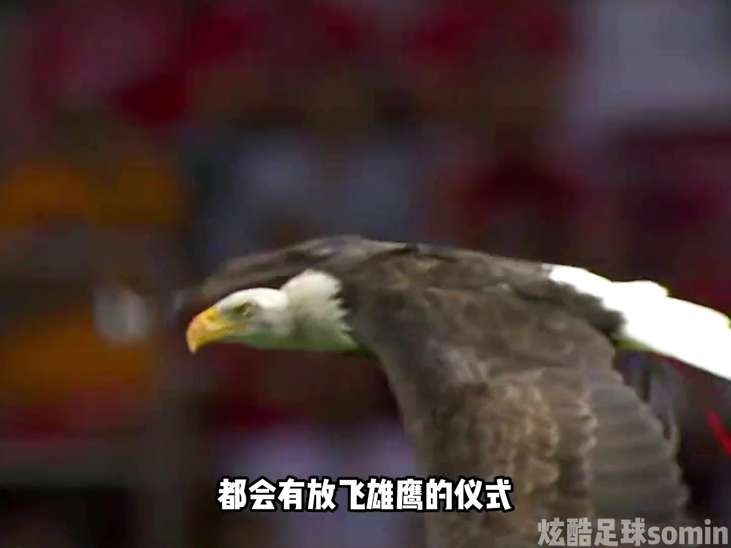 经典！盘点足坛经典名场面