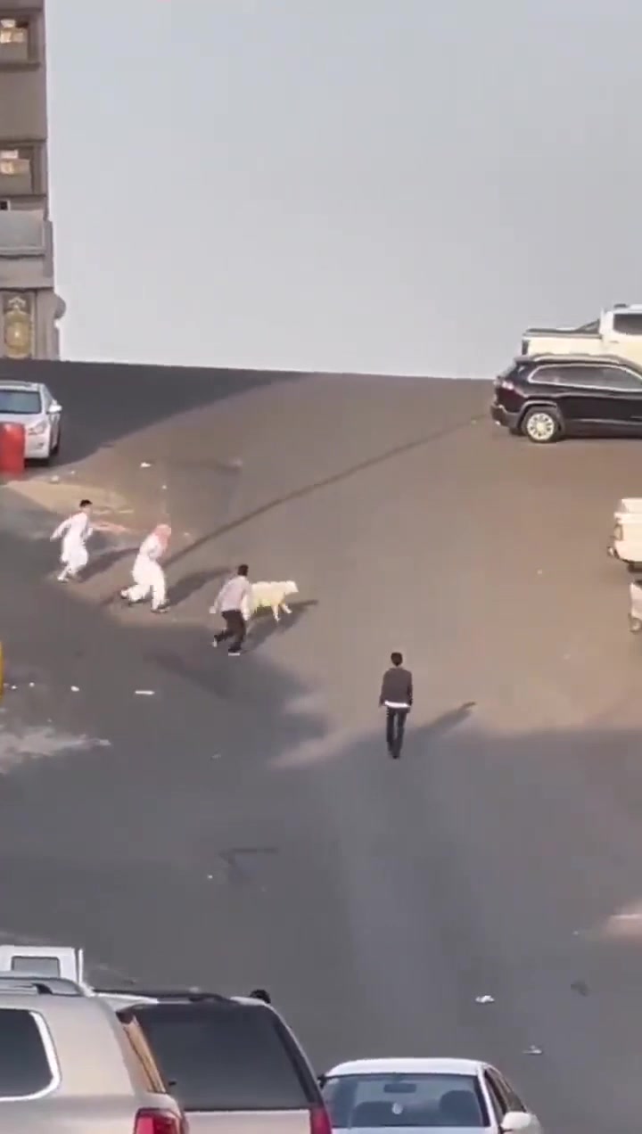被GOAT界的梅西过人戏耍