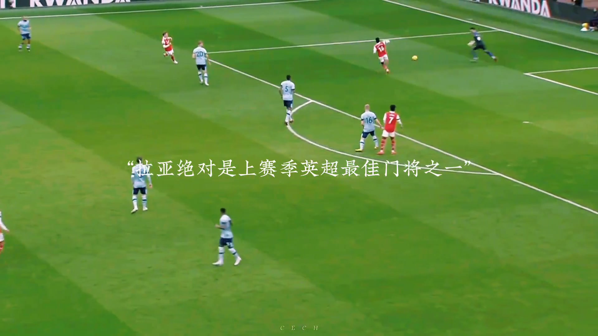 “六边形门将”拉亚上赛季表现集锦